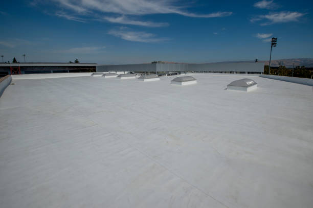 Best Cold Roofs  in Moraine, OH